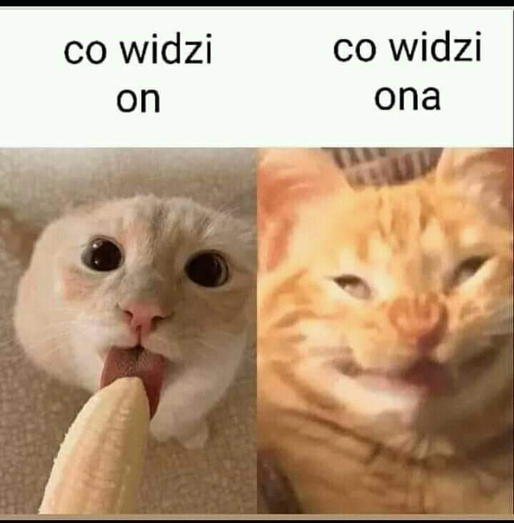 ea9caac0-bd71-479f-9ad0-5d023346e633