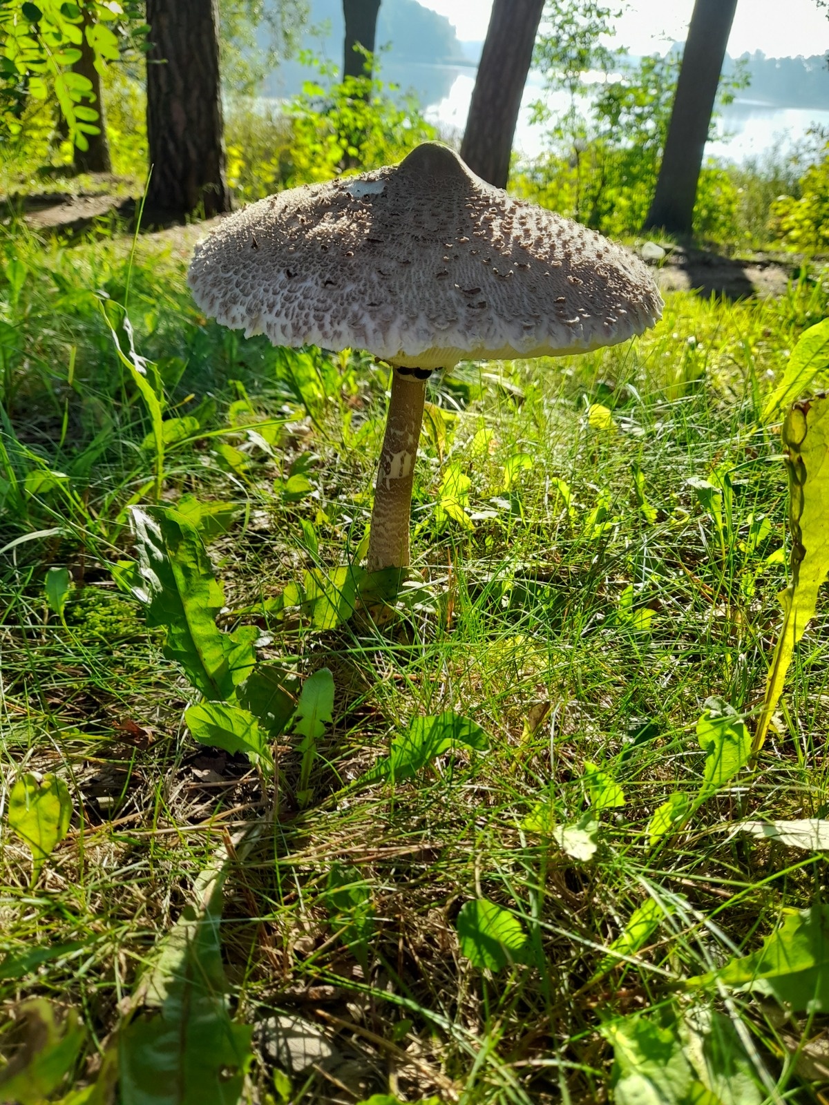 3583a0e3-2621-4b74-b140-14db5668443b