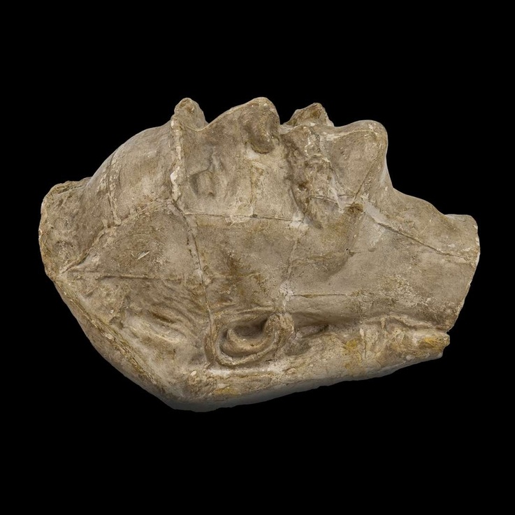 Unikatowe pamiątki po Józefie Piłsudskim i Henryku Dobrzańskim trafią na aukcję