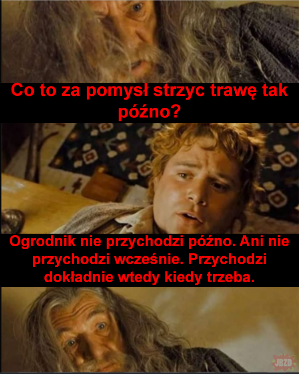 14ad1355-5cc3-4b10-801c-2df33df120fb