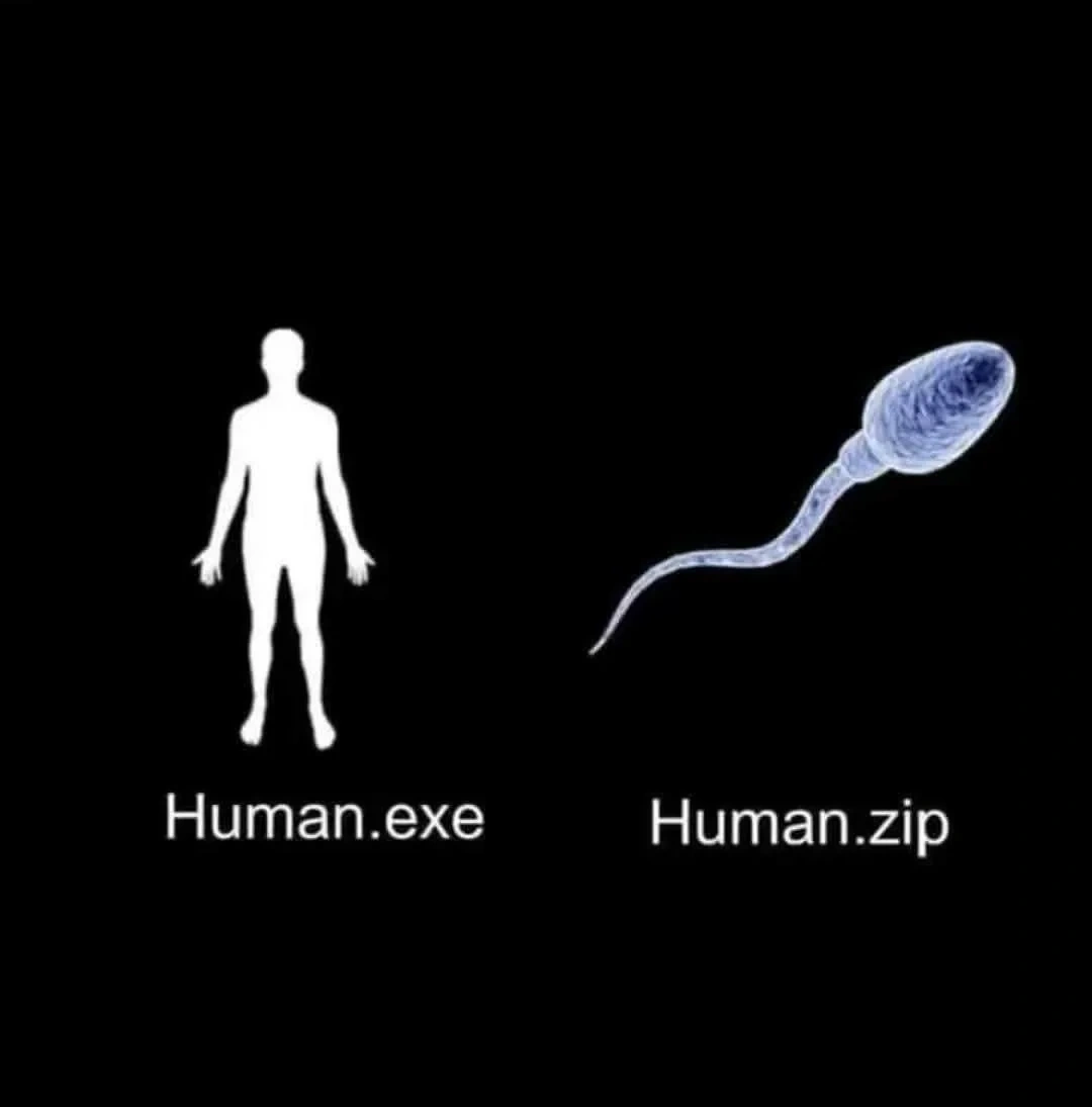 d23c8caa-7475-4861-92ee-ff5b4c12009a