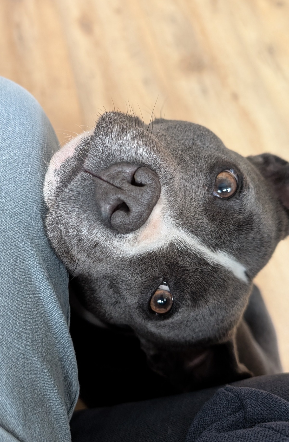 911d42ef-e4c3-4652-abca-1554edf4b532