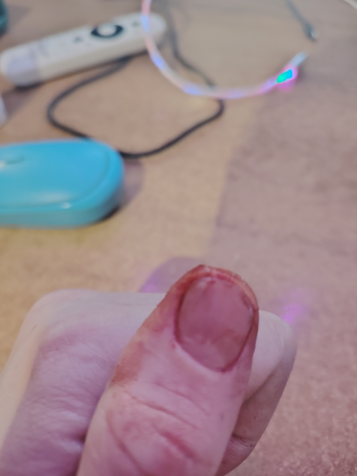 9ff4ca6d-f432-4678-8c0a-8b8d2a4d3934