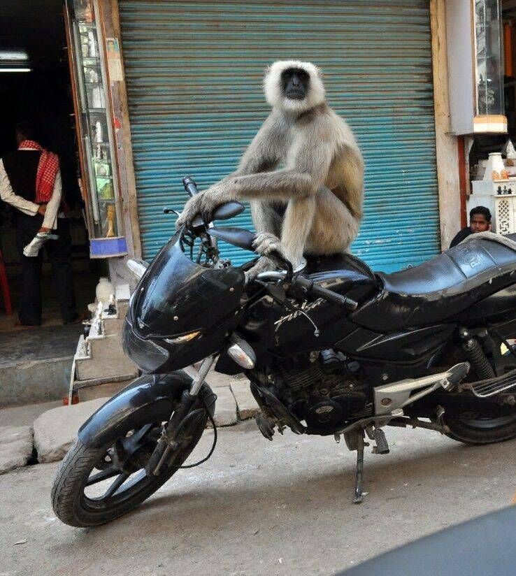 26c0e8a5-deef-4861-8eb6-2561be379cc9