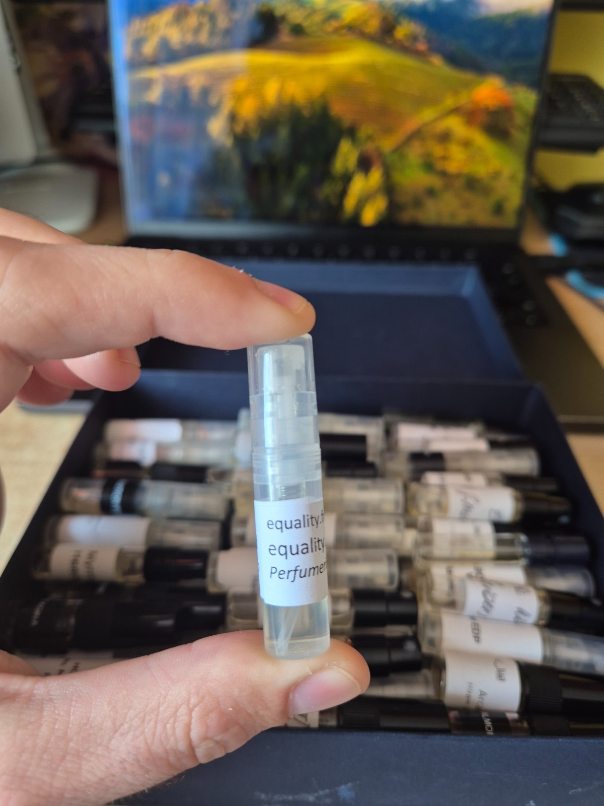 53089b1a-6916-473e-97c9-9e84497189d5