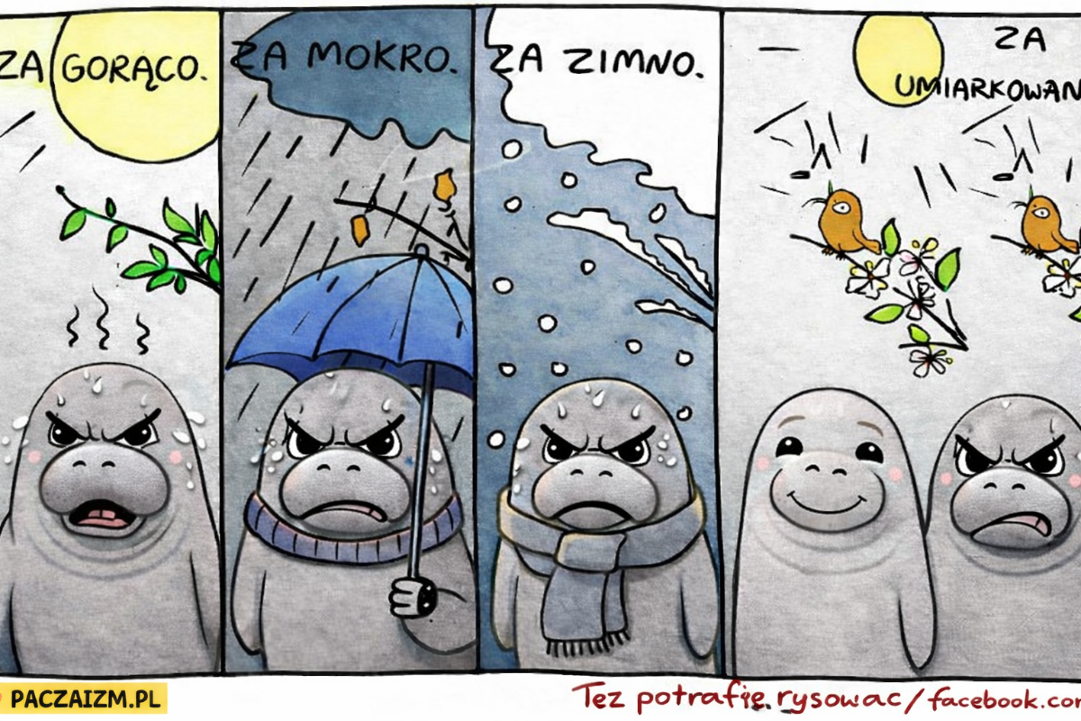 d37c5b8d-6906-461f-bbac-479d71fc0f03