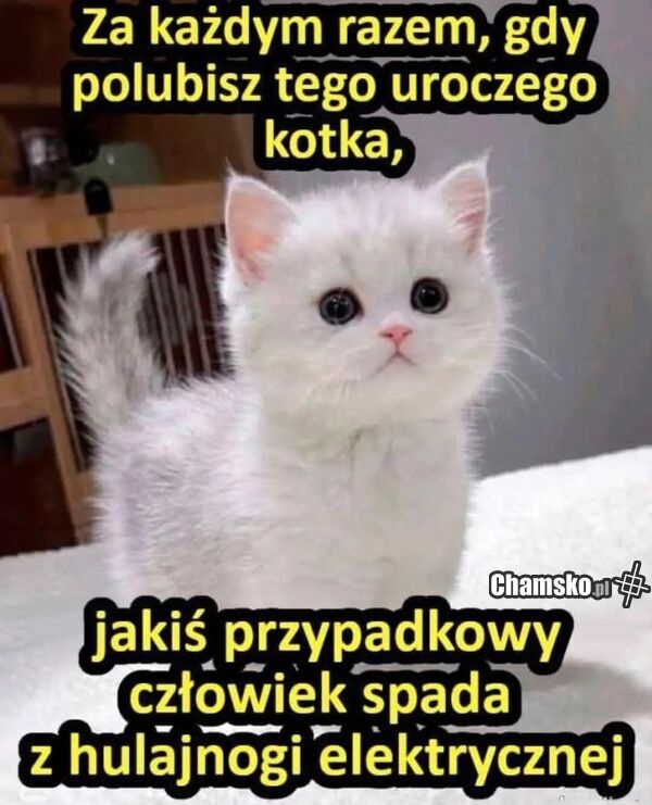 fb16640f-882e-42ed-a51f-eab73e9e8600