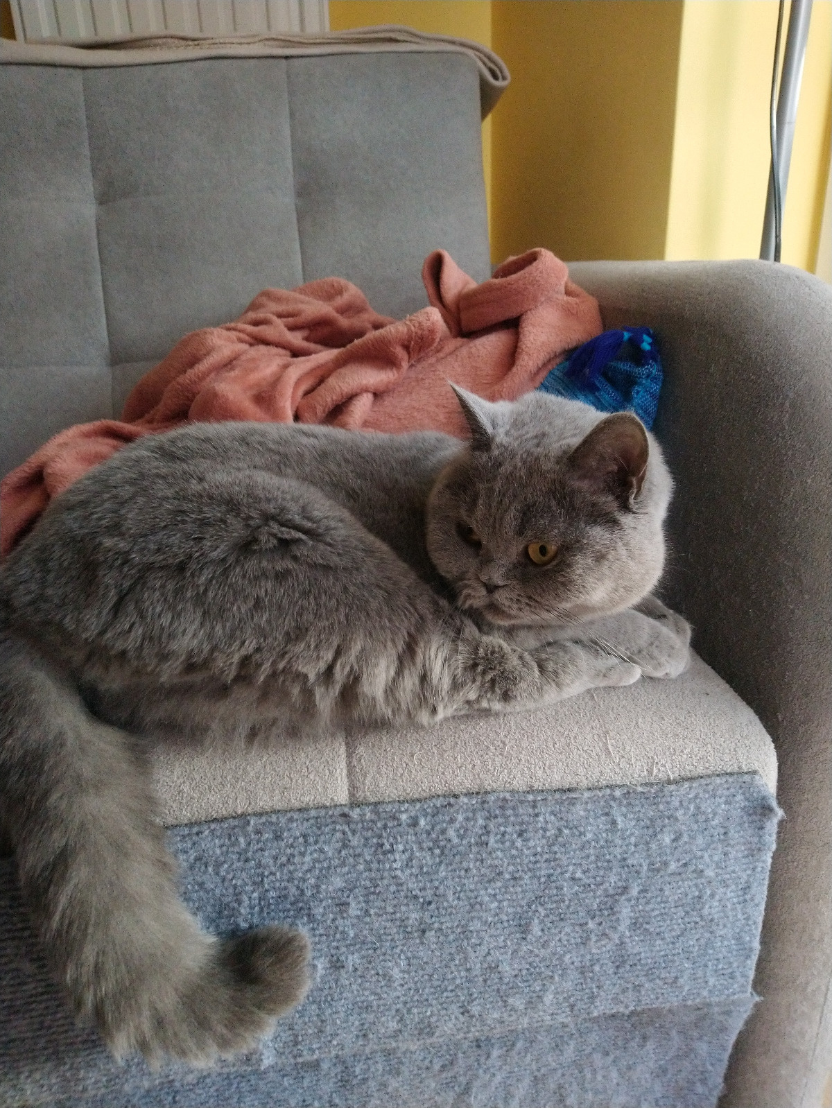 8ab7a766-0ac6-4a13-94a2-d4fb40c46820