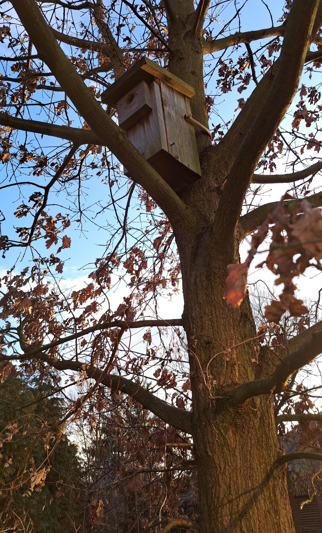 1684b074-92c6-4f42-8f4e-cb37f1ea0d79