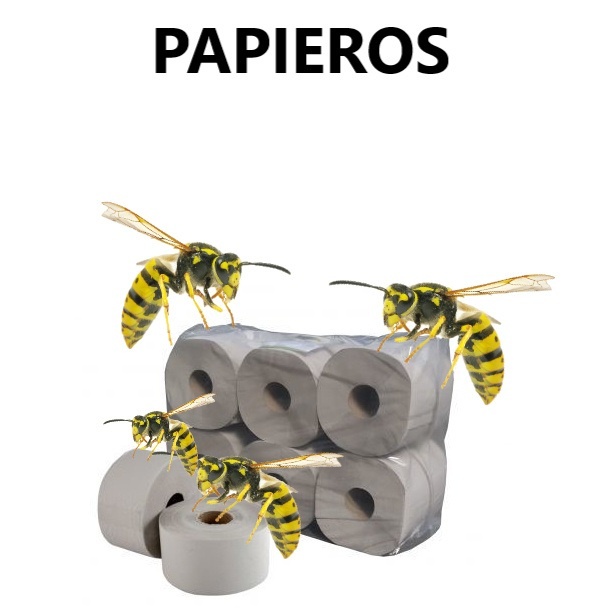 d3bf8b62-49aa-487f-b058-cf7a05081e37