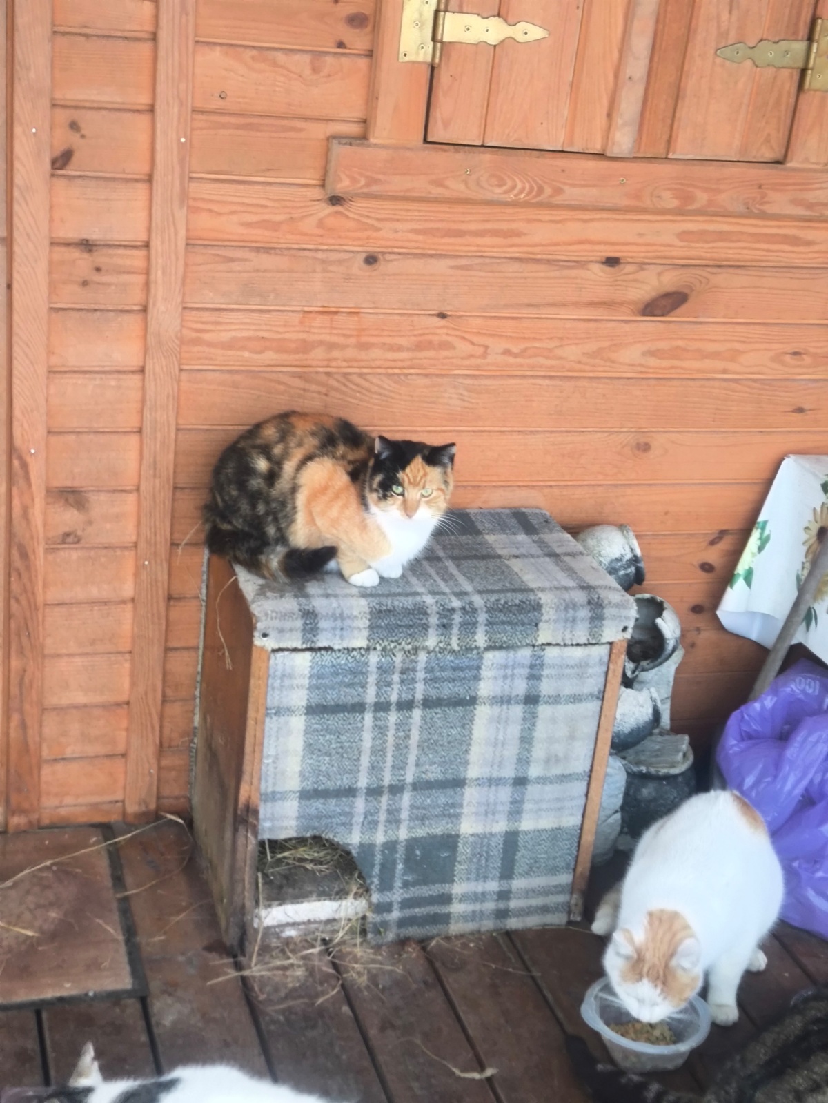 e80ecce2-71c5-4f71-814f-e74d4ce3a0ec