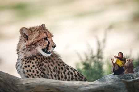 e86e5584-3035-49bf-b491-e56b875624dc