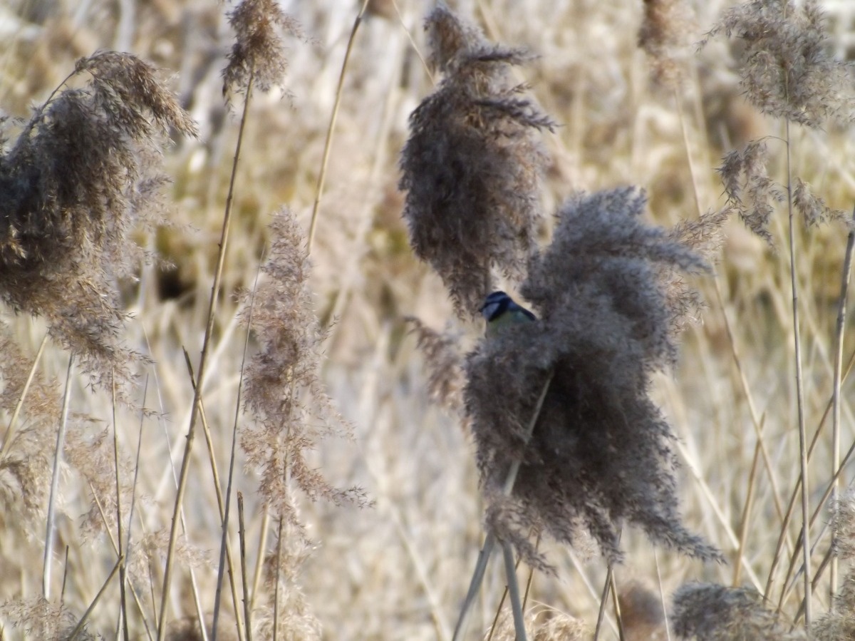 13cb3498-7e61-4fc0-b290-060f06fe1202