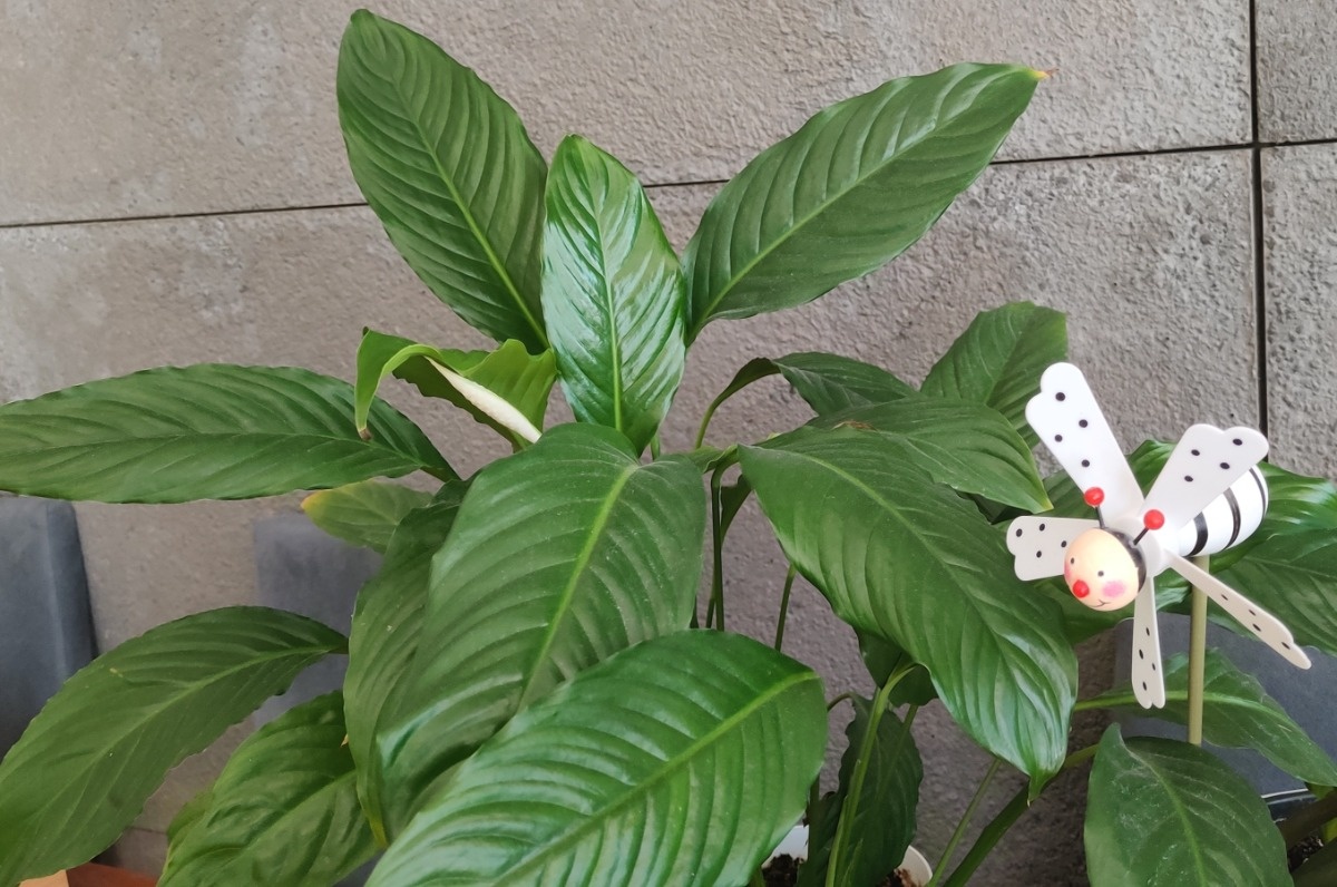 7ff67737-a2c9-4818-ae35-8dbb0a069cb3