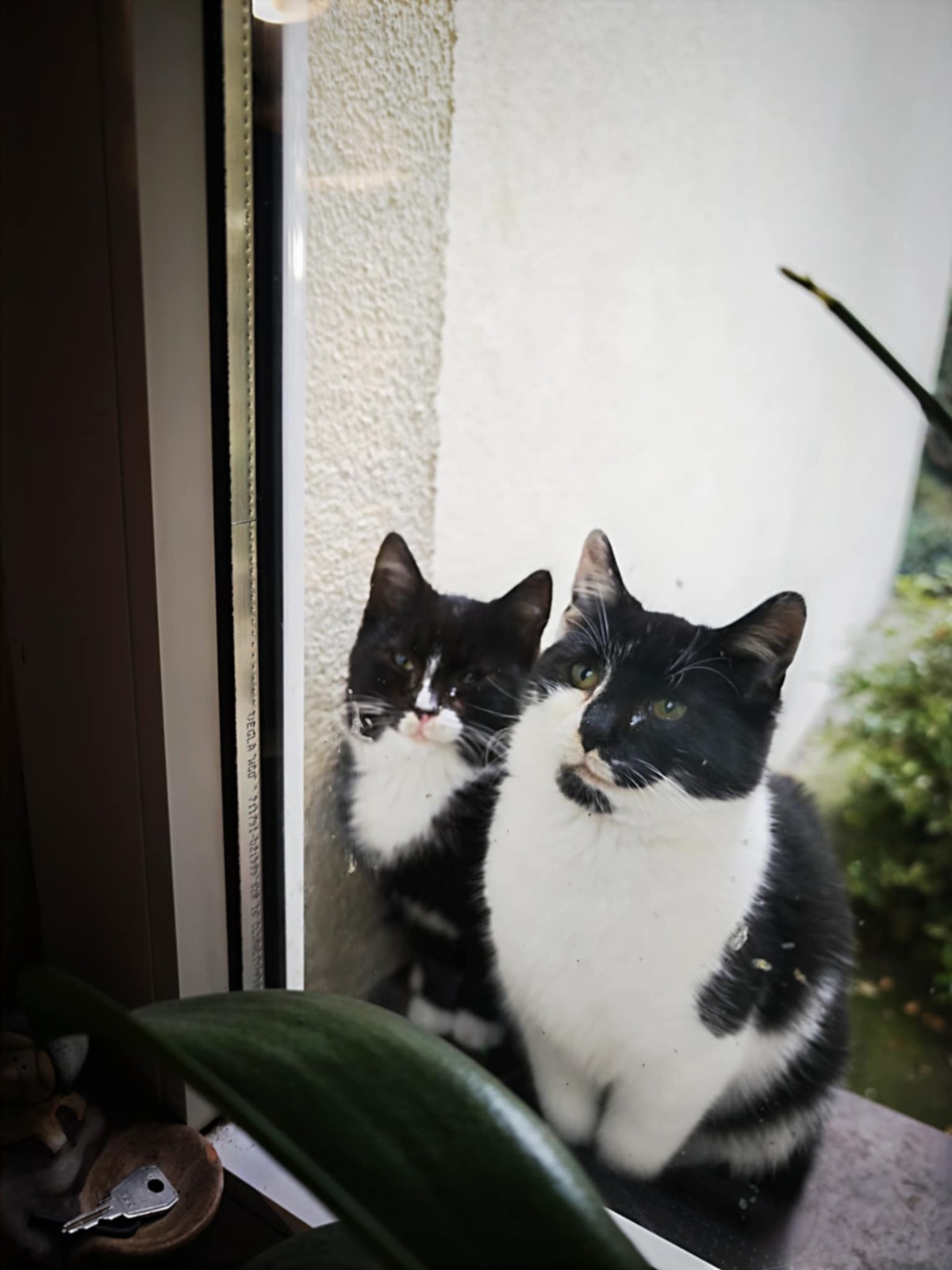 6723023f-82fc-43d2-9738-fc7bdb34dc69