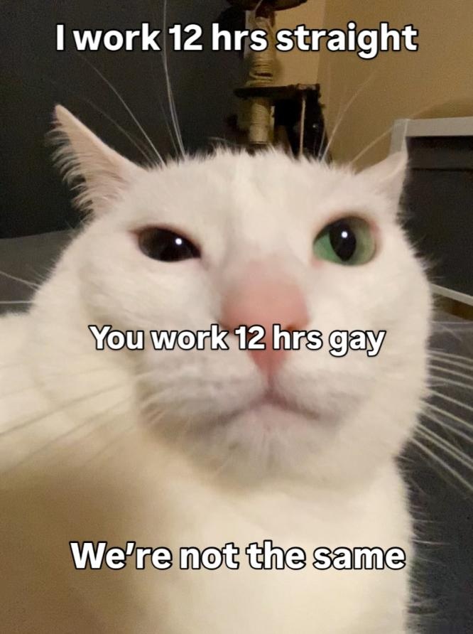 11dea655-801c-433c-9556-4a5b40d9dbbb