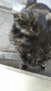 26cddbed-866f-4c8f-8a0e-4bad6ecf0cb9