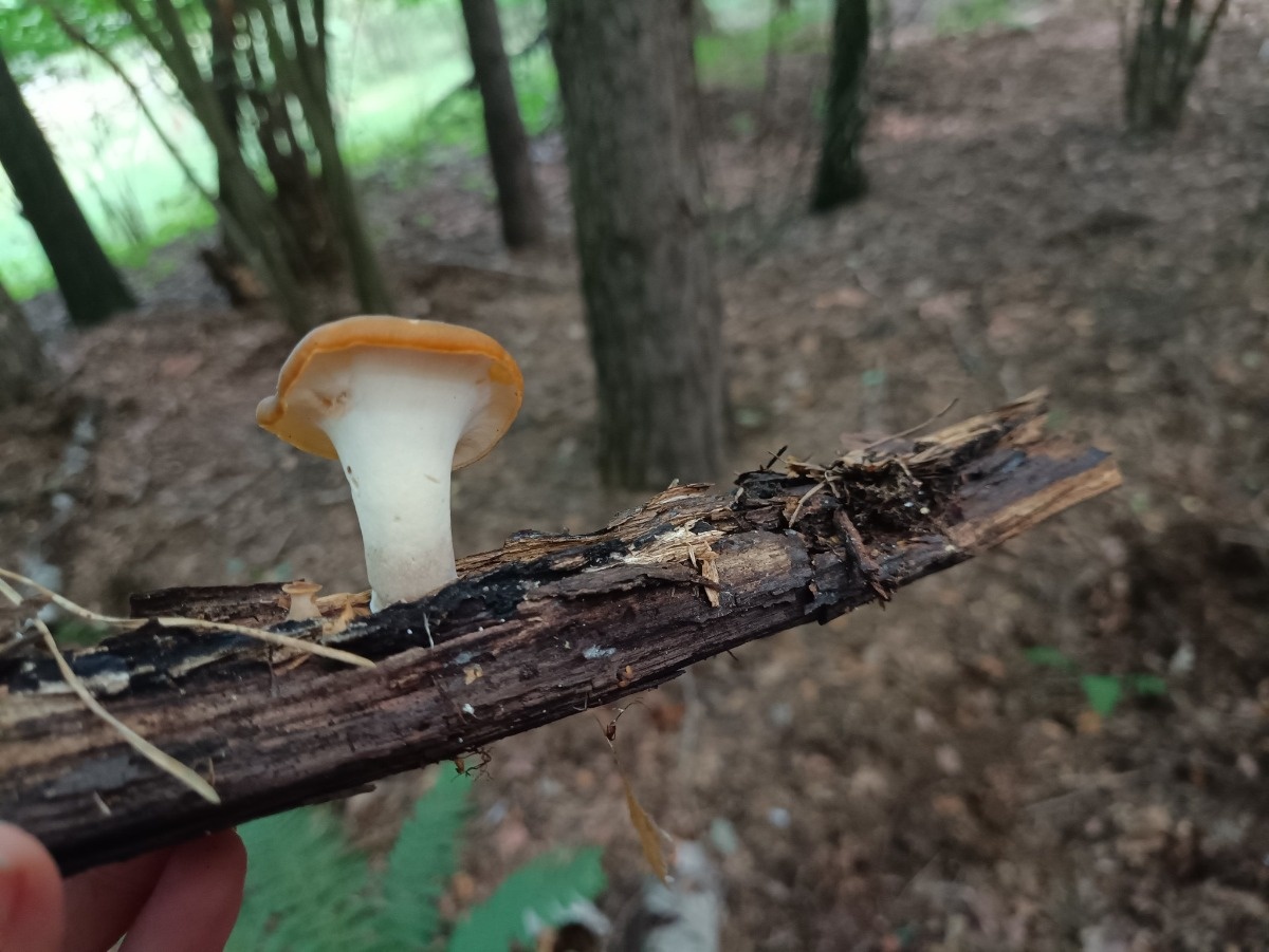 ffa08b67-aae4-4ae6-9898-ec87403a786c