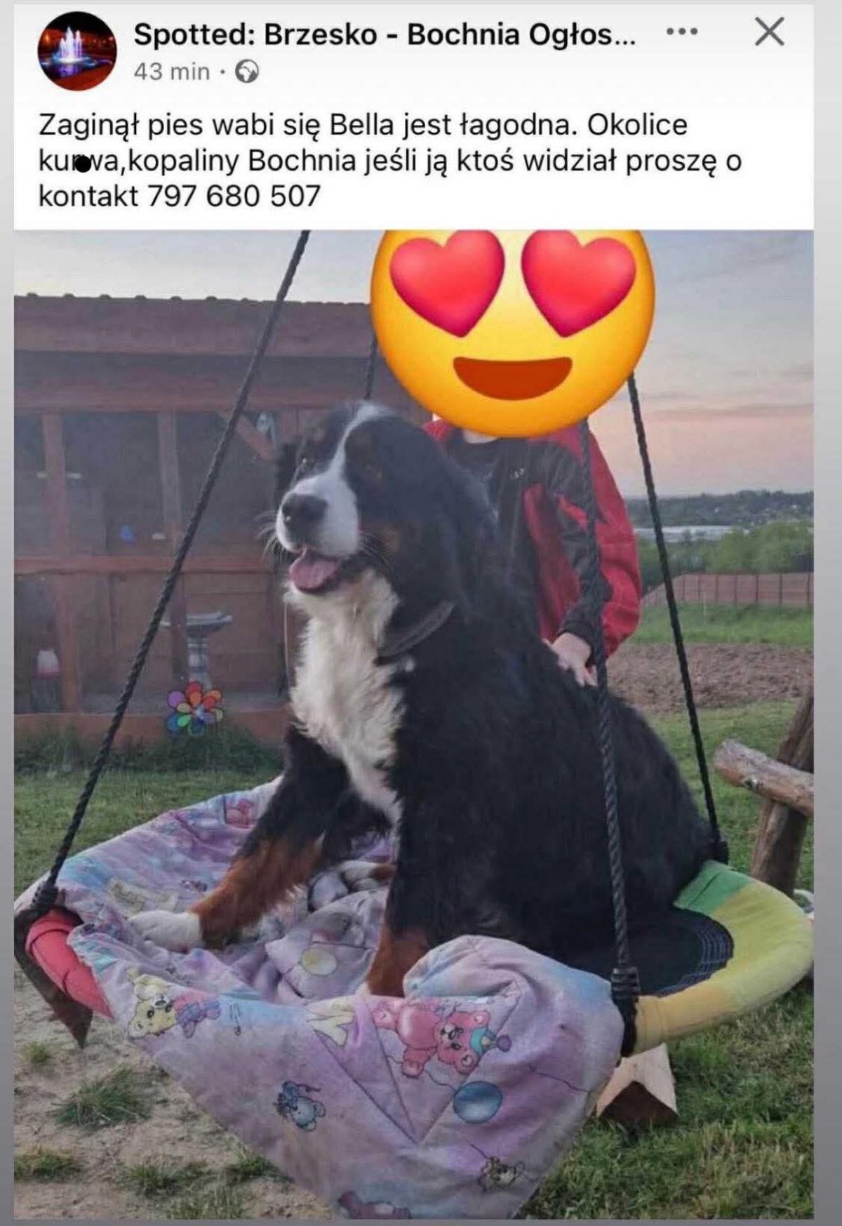 2de27a20-07b9-447b-b72d-687e2fe086fa