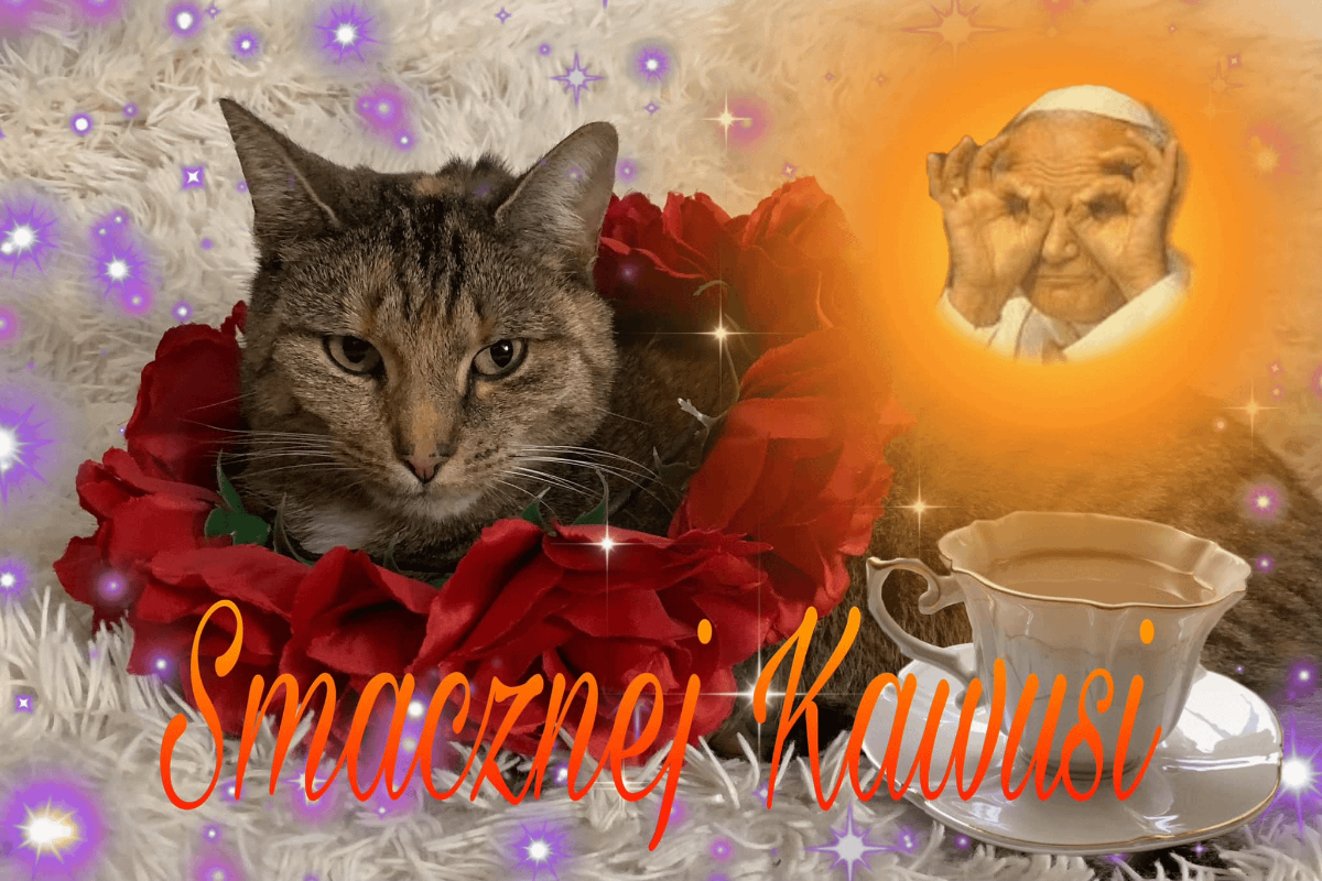 02662330-cb51-4bc7-8910-900ef36a573f