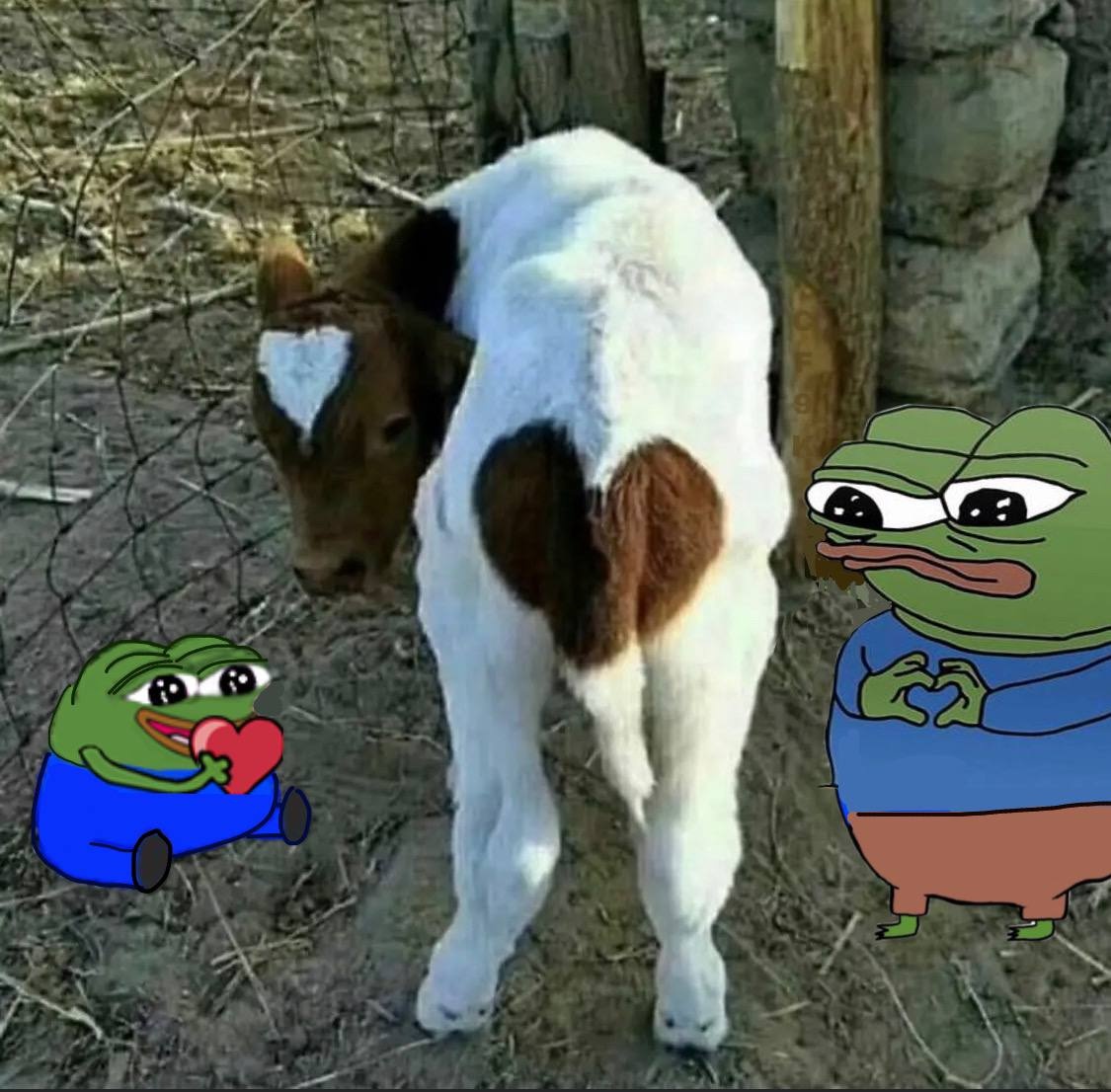 c90791de-e619-415d-9a2e-16eabcc122e2