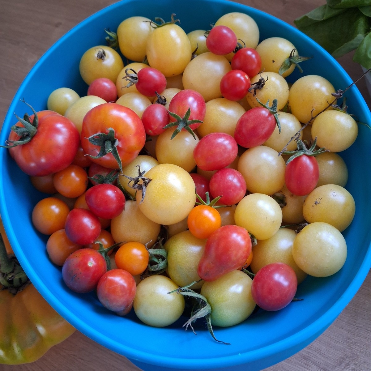 632b22a9-a0e4-45c6-bbe6-0a162e547bb3