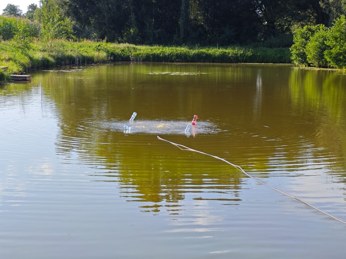 639fc0b8-1680-4b0e-99c8-7a15d75f226d