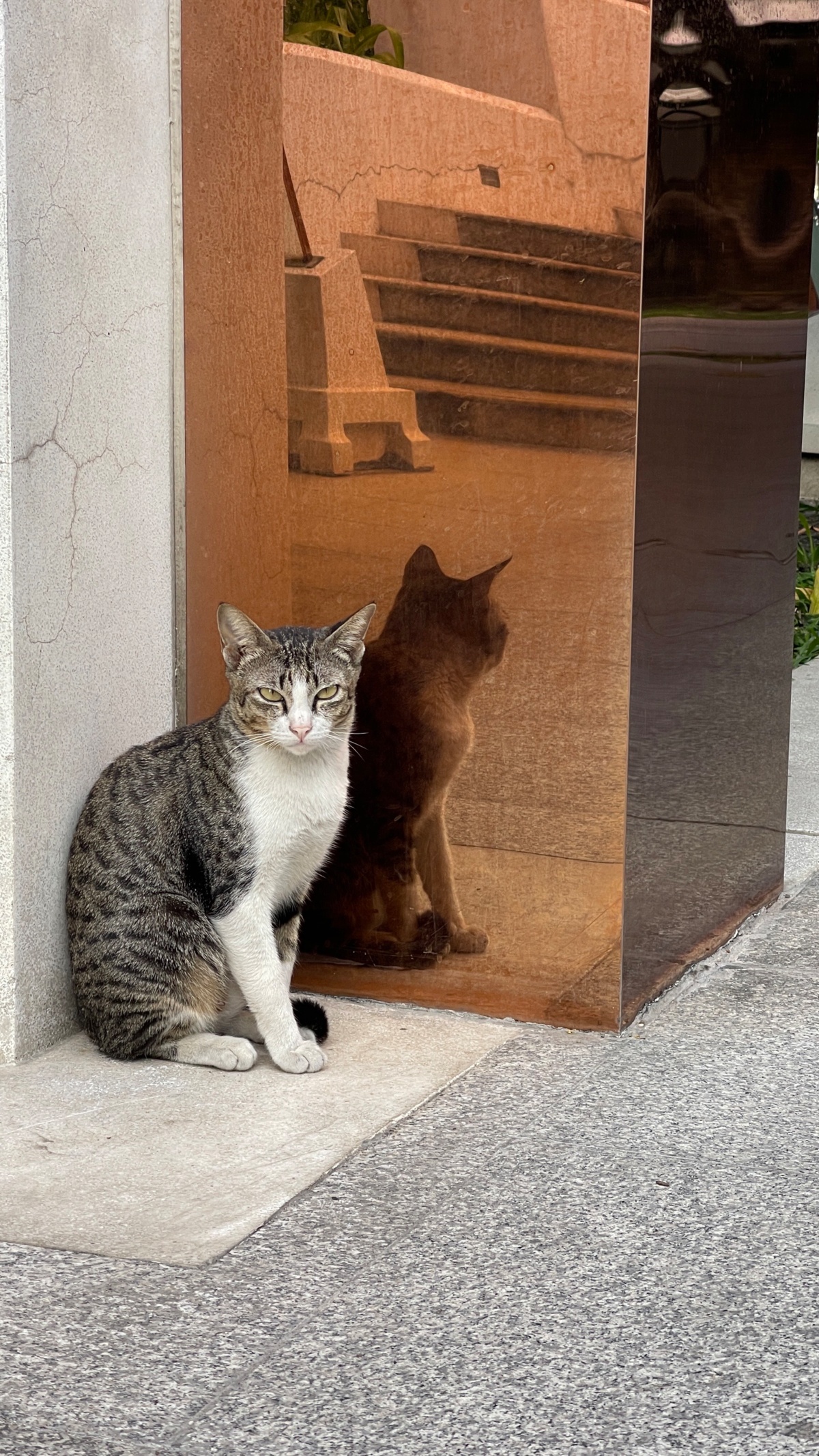 9f8e524e-cd3a-4b09-a6f2-b4591fa338ae