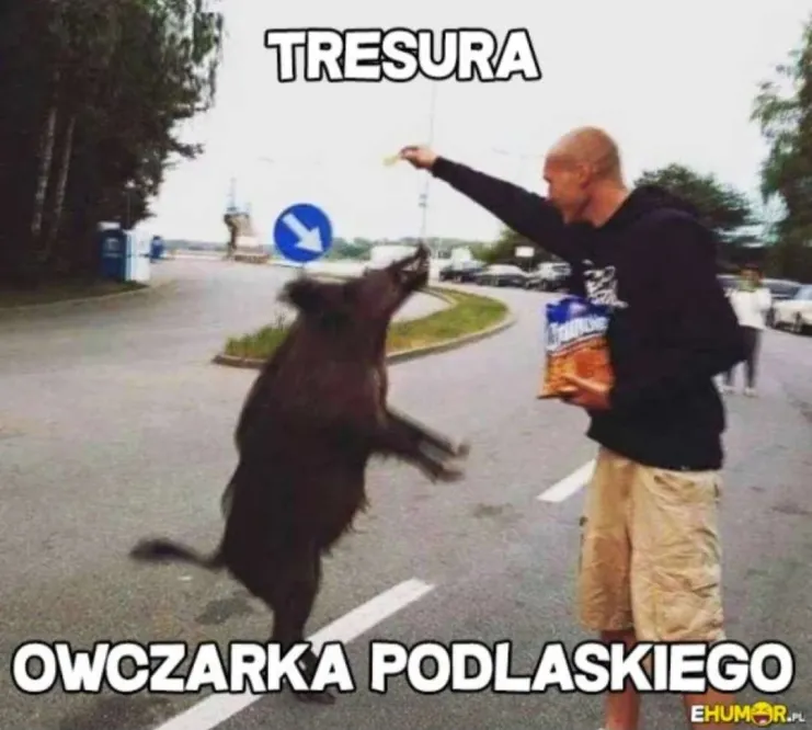 f04f1943-d59b-47cd-8ced-c90131f0f202