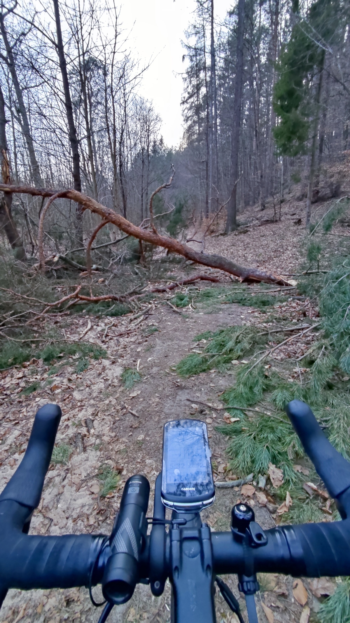 393f1e85-9ea6-4787-8977-eaa42d731e5b