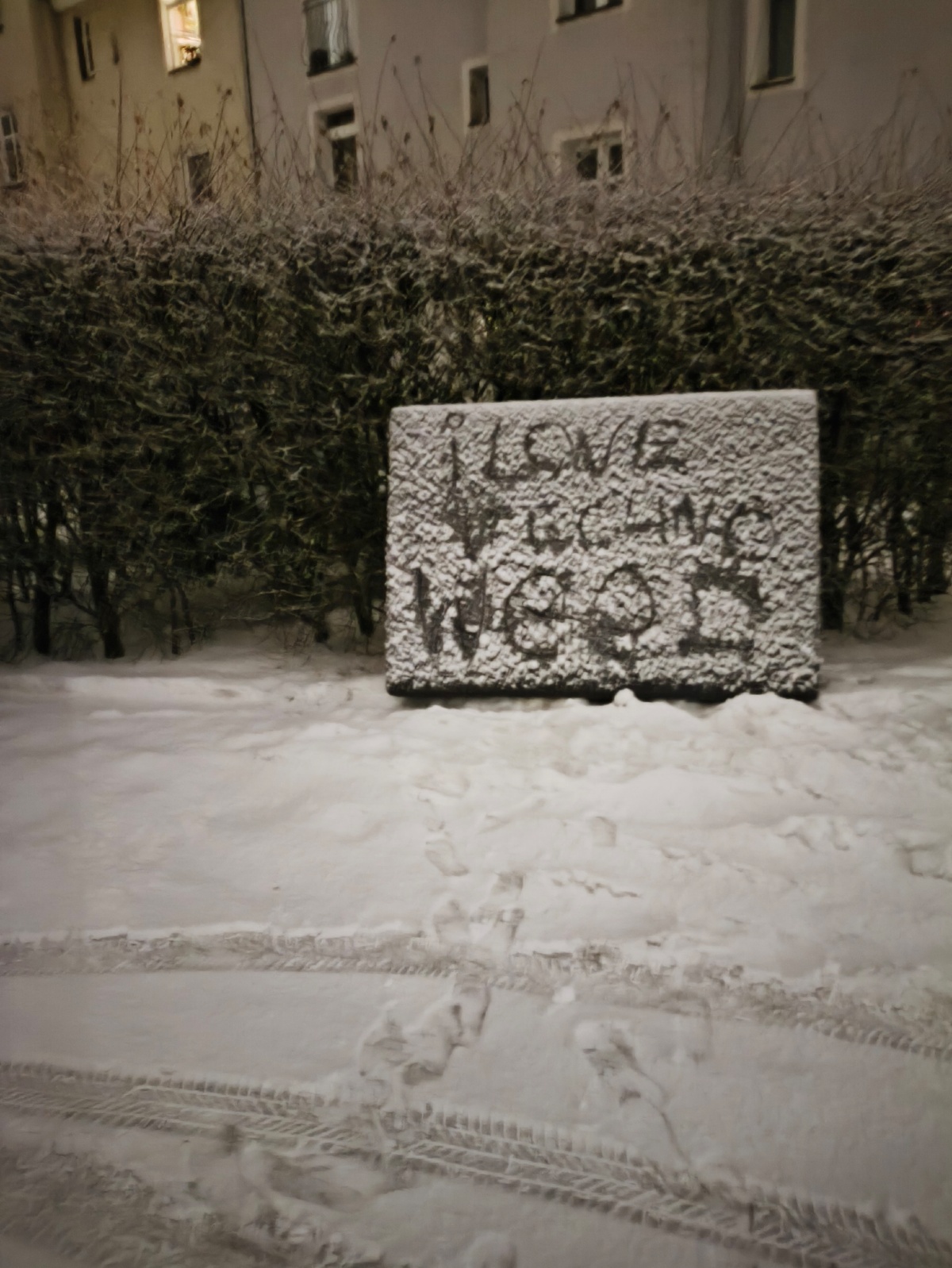 e2f956f1-7ead-4593-b155-603a1f851a20