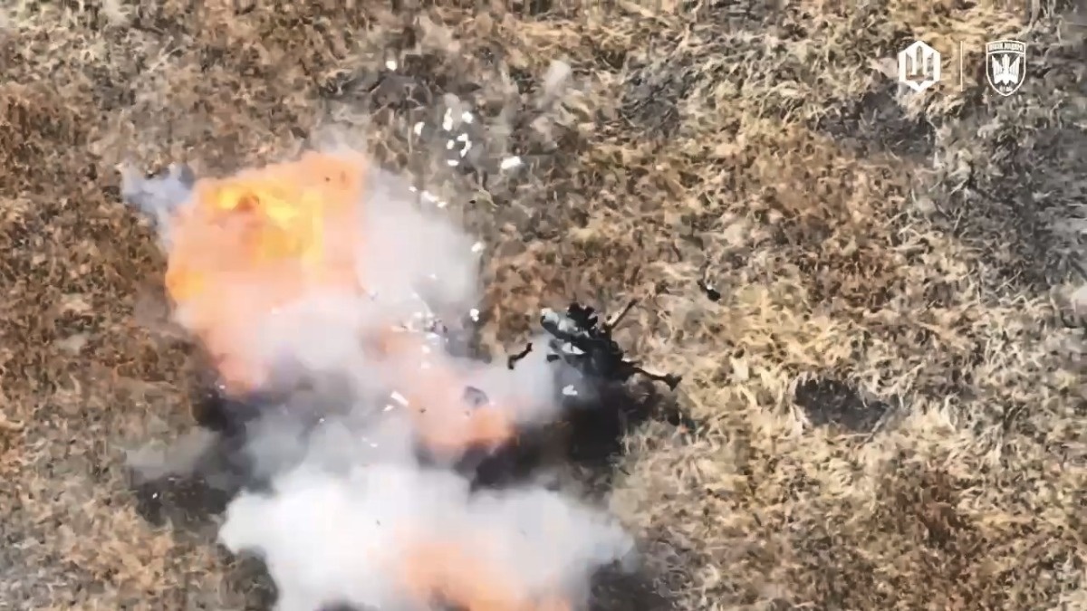 03491bde-05fa-4079-9633-1b38eb69d528