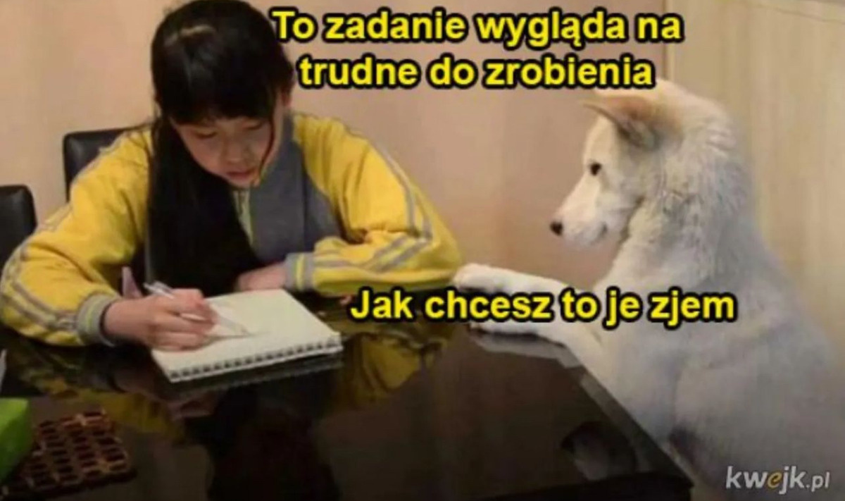 9d1064f5-e2f6-43f4-aee9-f22eeea6272a