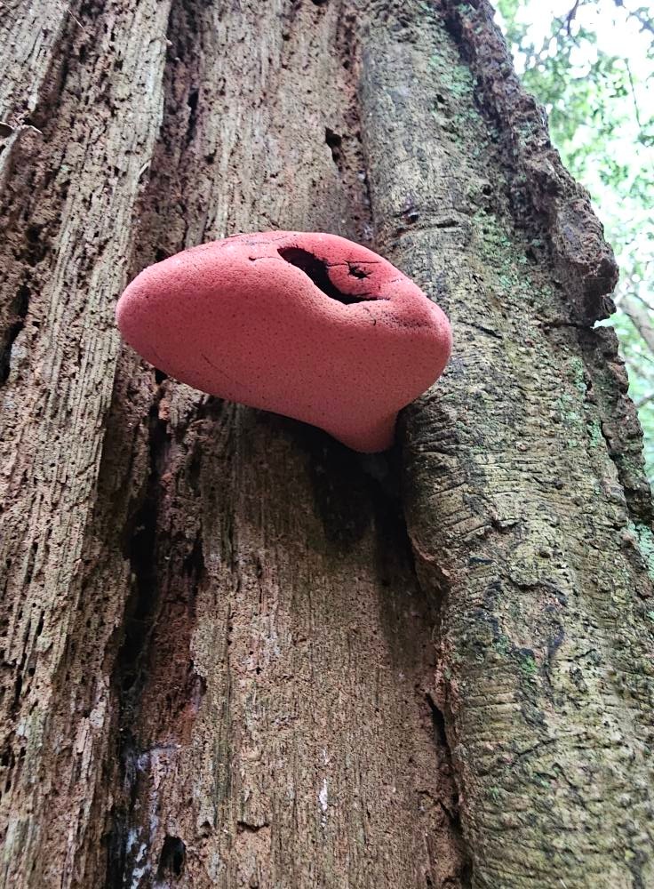 6b6957b0-f4cc-41f5-9f47-76405de23fad