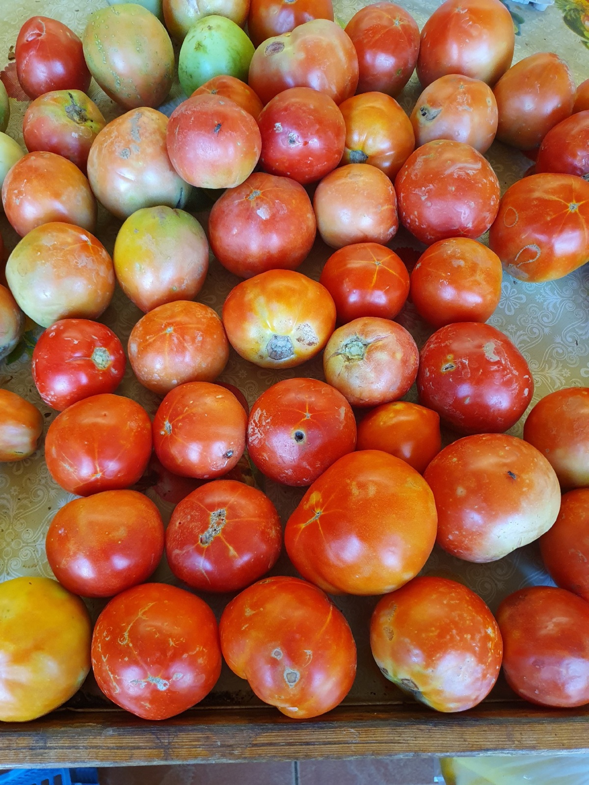 9d154c4b-42f5-4c75-ad9a-644b0a8eef30