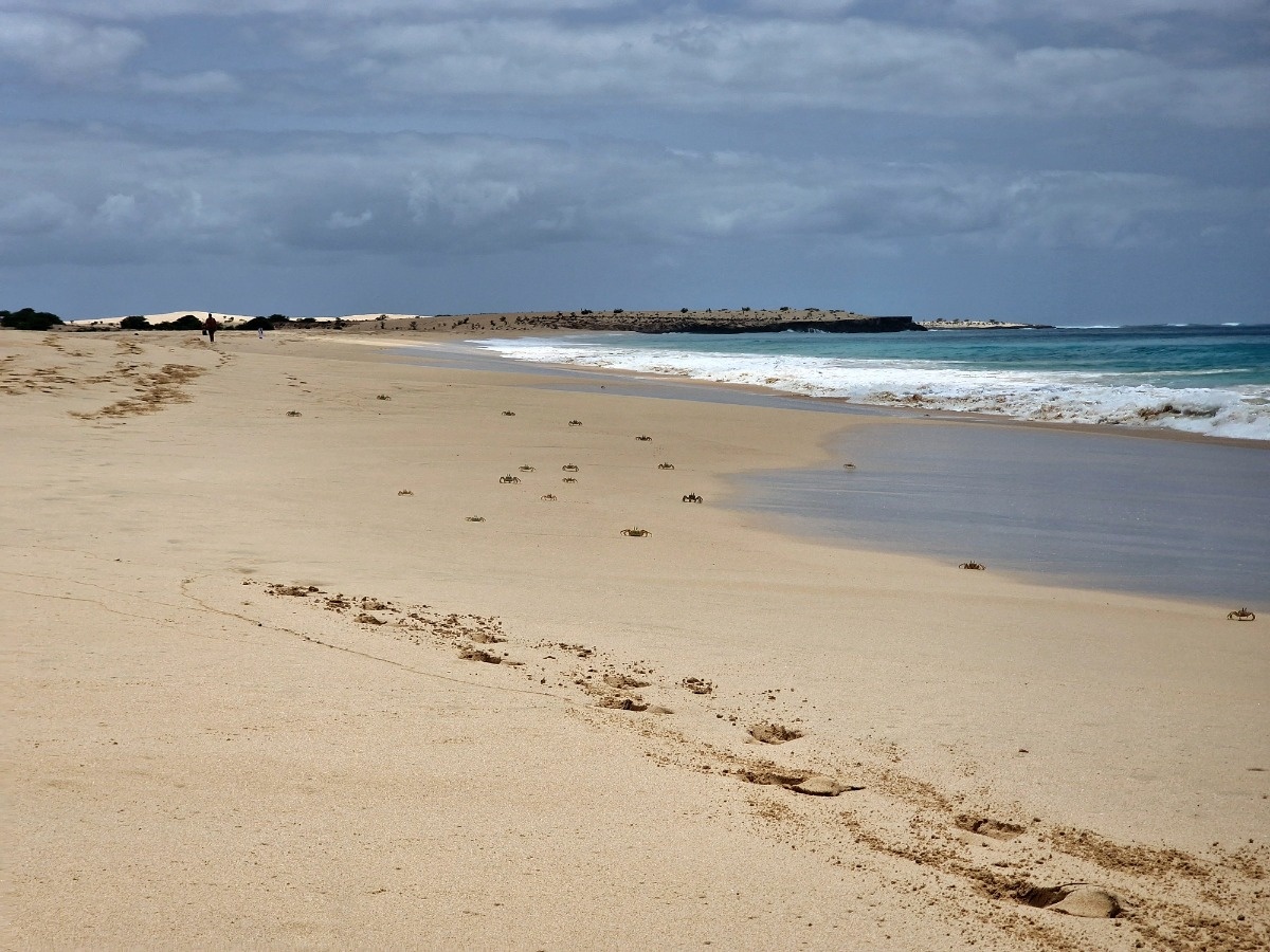 a72de6a5-02e1-49d8-9bdb-9abe77a4aa6f