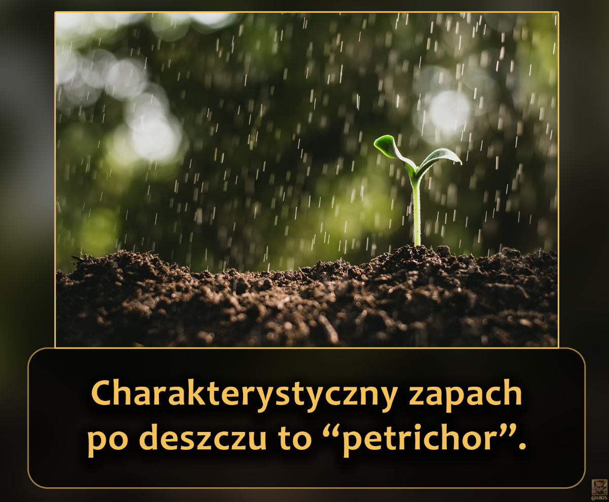 d6ced24d-8f61-4cb0-b0a0-66c85cf07295