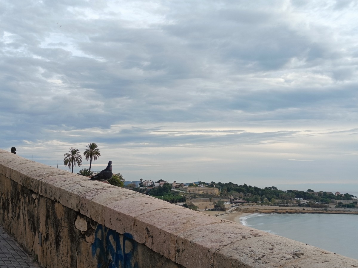 0268705e-24bd-4063-9c51-2652da6021e9