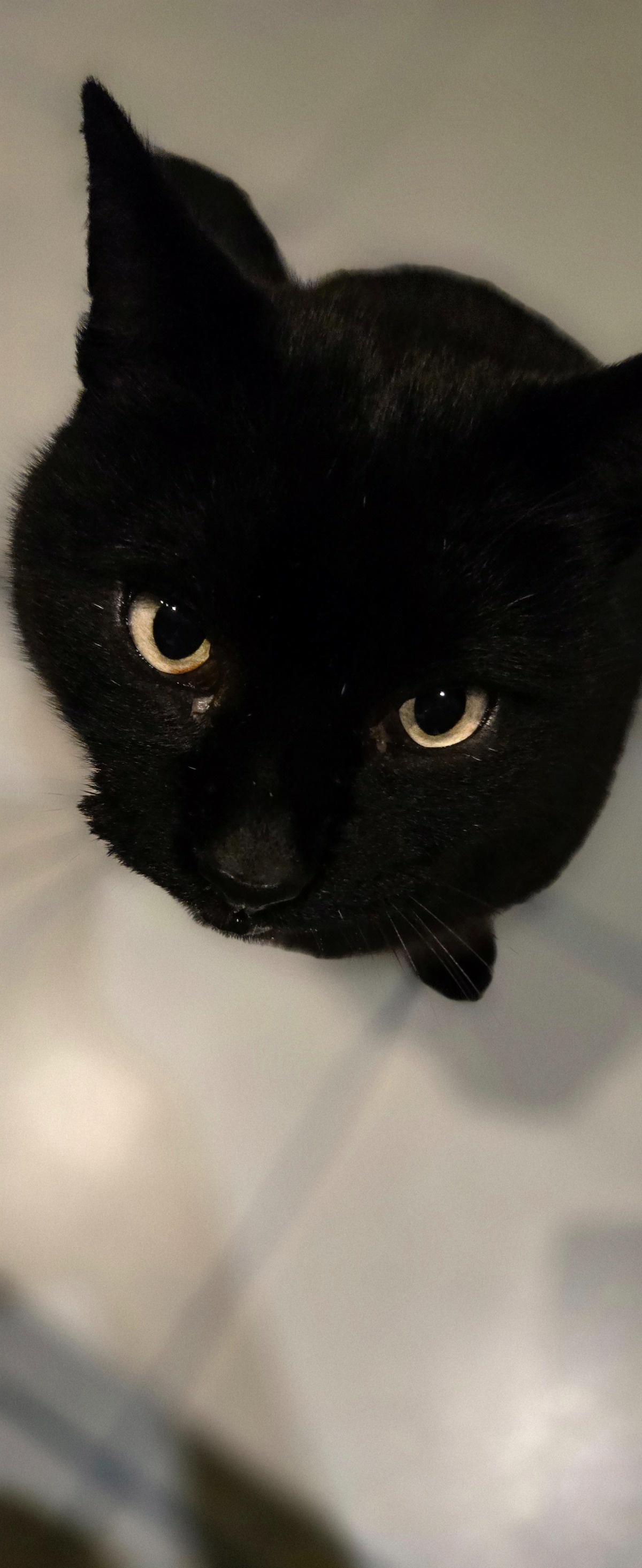 83c6fcc6-82ba-4b02-a171-f193ab91317f