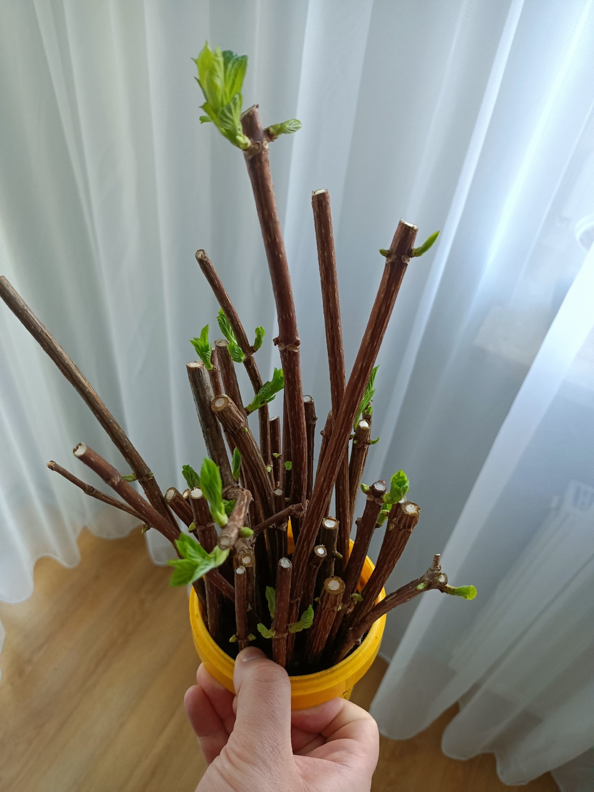 79770fe0-8bbd-4af0-95fb-4efa986a9733