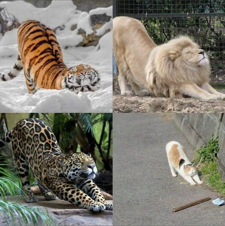 56c40d7b-def8-4ac6-a57a-3e44f8a9d1fa