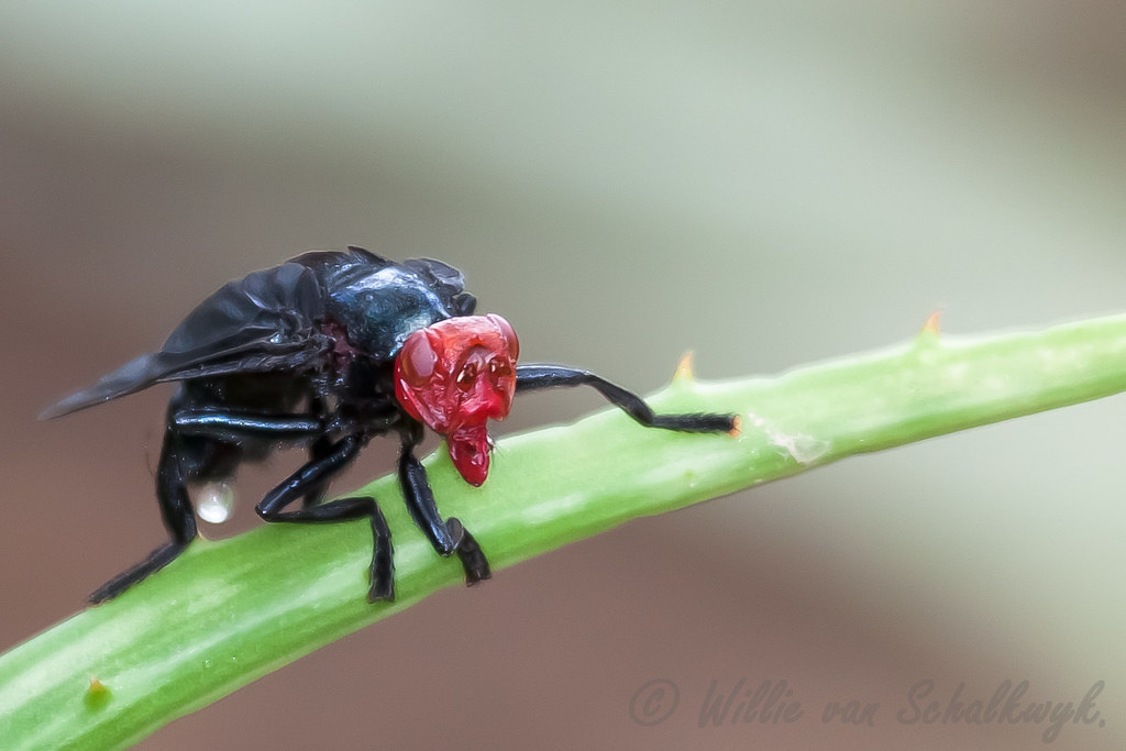 eeaad079-0698-446d-ac55-fab0fa5d7eb5