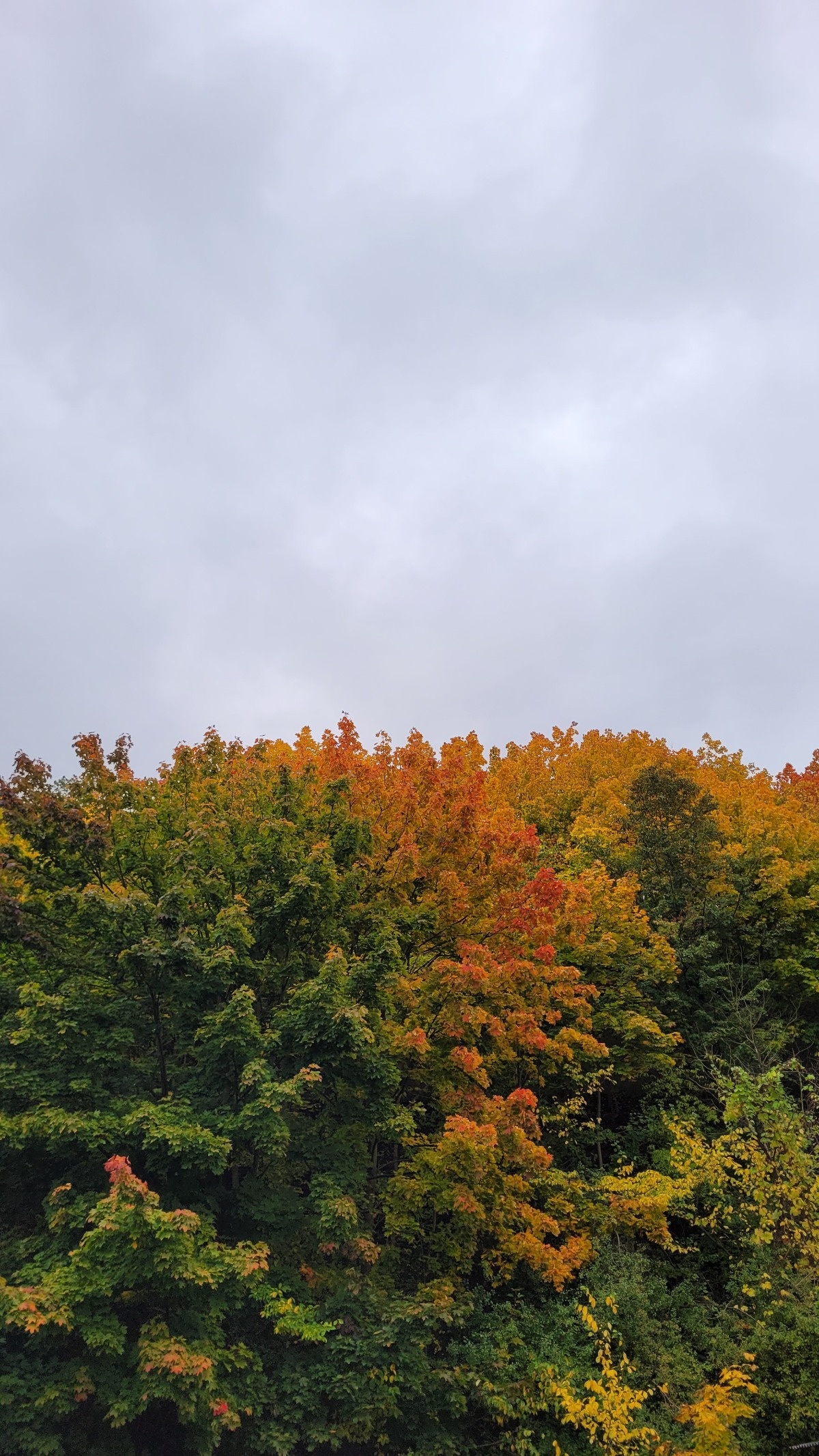 e8278718-8c54-4874-8ea7-3fb706944e92