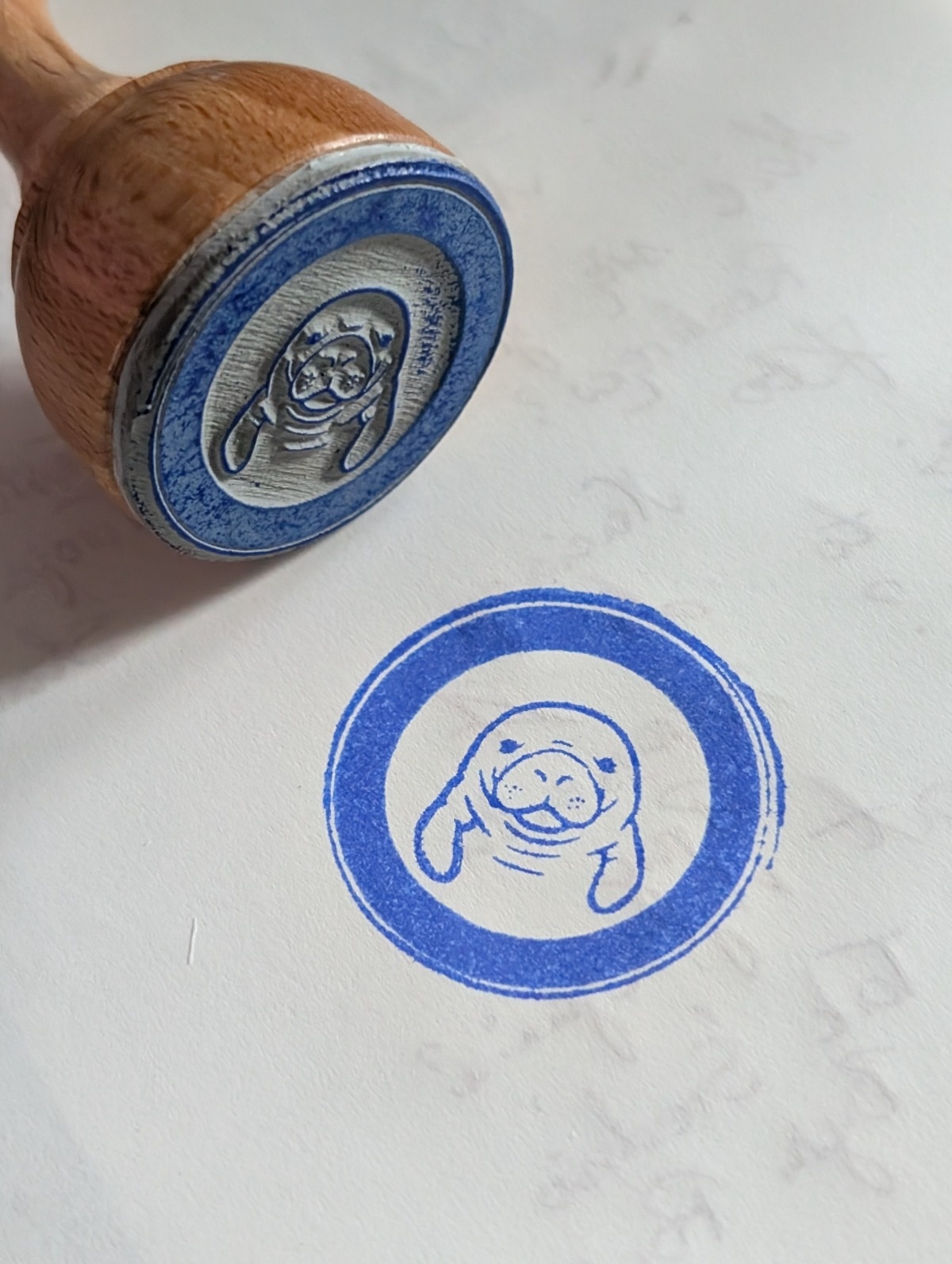 25b46d7e-67e9-4d60-9651-19900afa5d1d