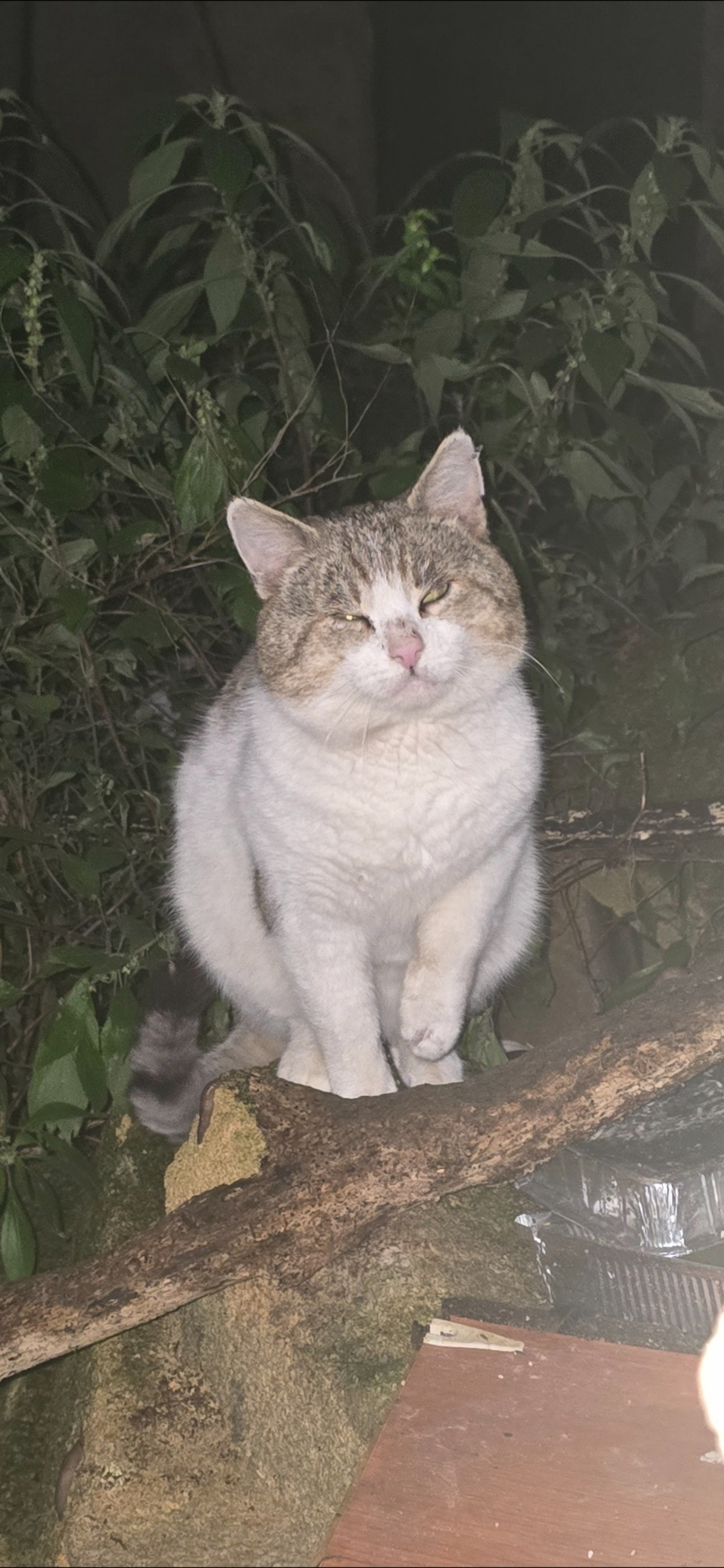 a2cc8934-e04d-4930-bfc3-c40f8187f4b2