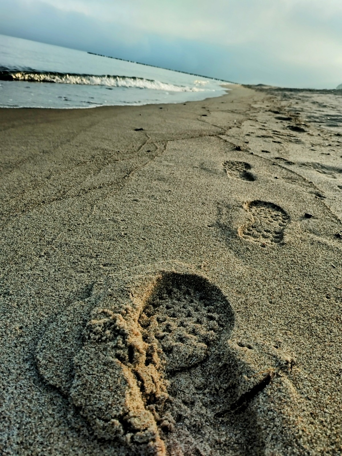 034da707-31a3-4a02-8721-5a489aabfd46