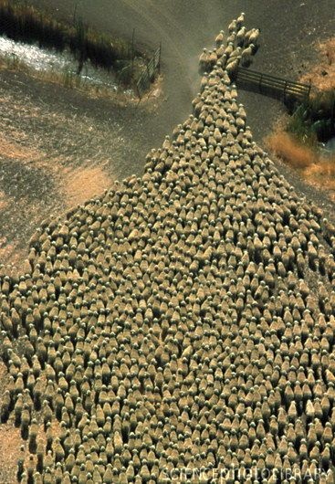 17f42afa-5dee-448f-869c-cc95c1890f84