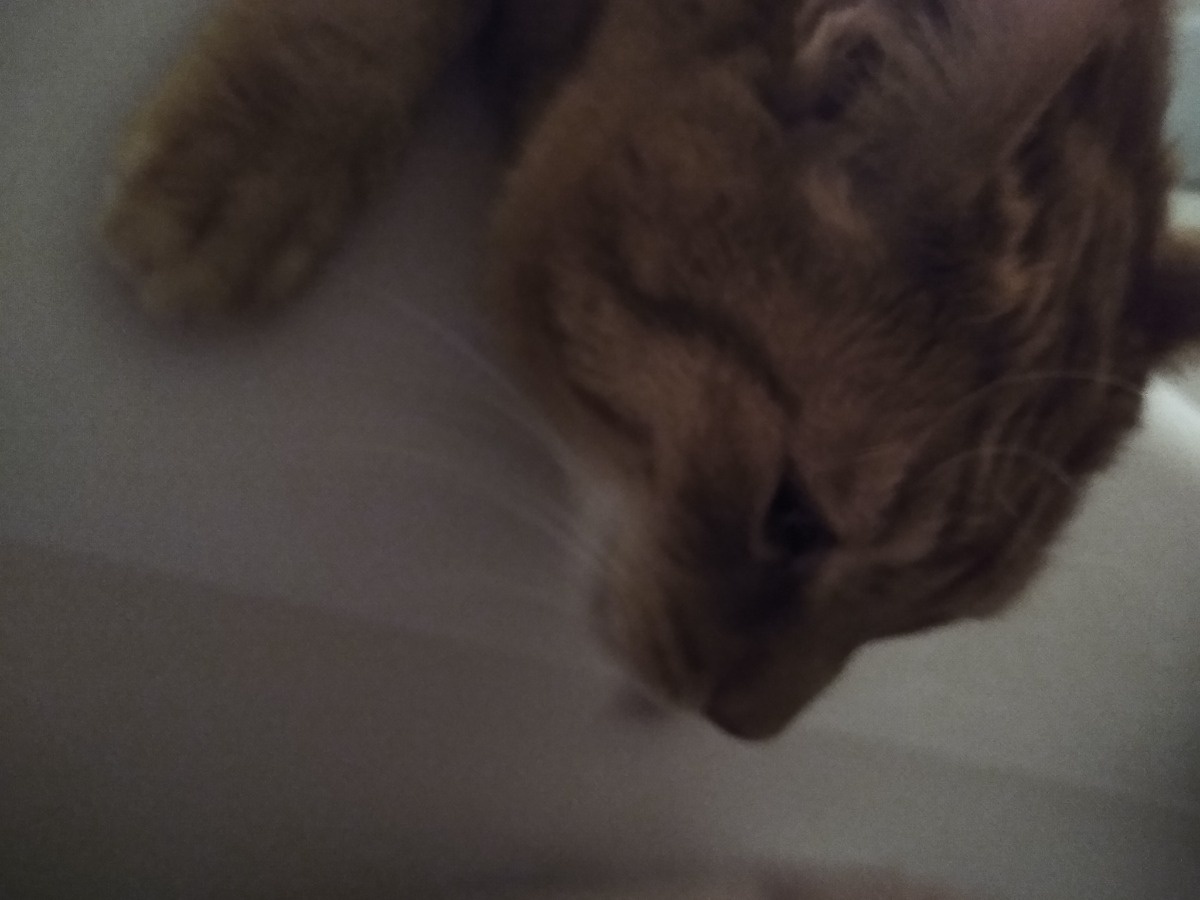 4566e042-ad07-4162-b154-e24271d4645c