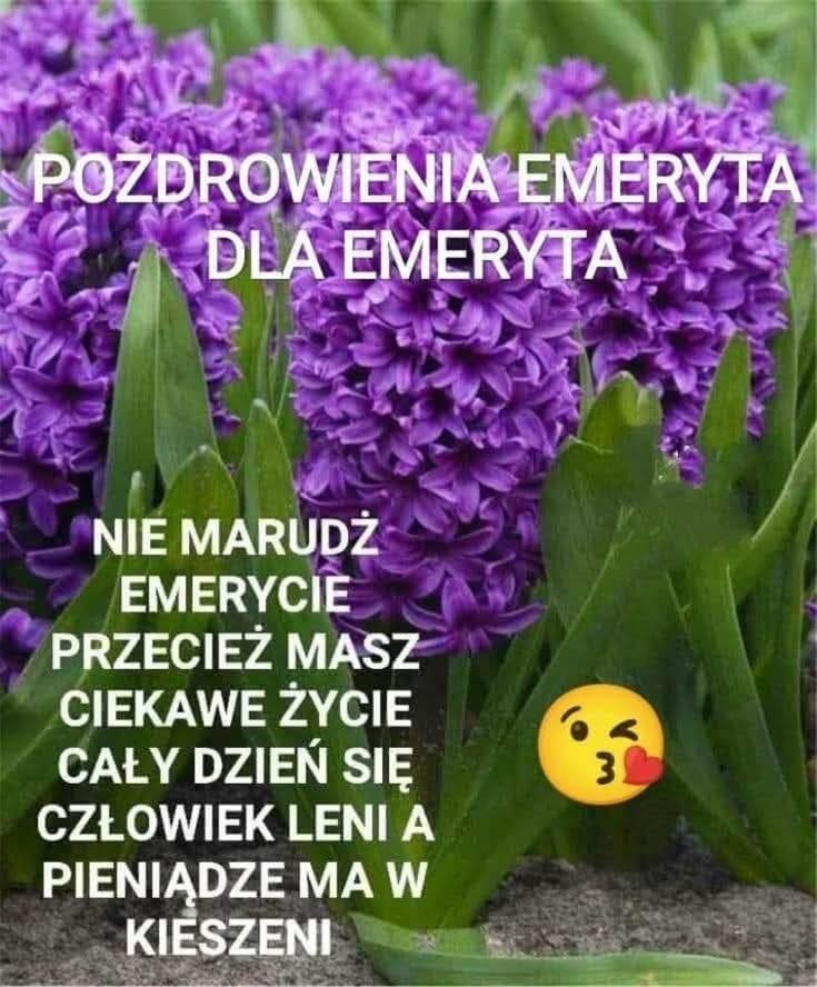 8d3300f4-80a8-4cdf-98f2-a62e9a0c448b