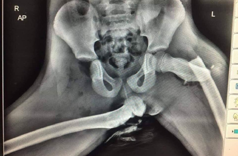 38dff379-ae44-4270-b867-4f7324cac214